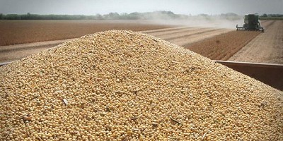 Creció casi 14% la molienda de soja y girasol y aumentó 9,4% el nivel de actividad en la industria aceitera