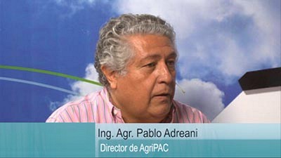 El maíz vuelve a posicionarse como alternativa rentable, por Pablo Adreani