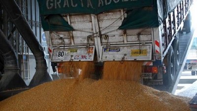 Crece la participación del complejo cerealero en las exportaciones
