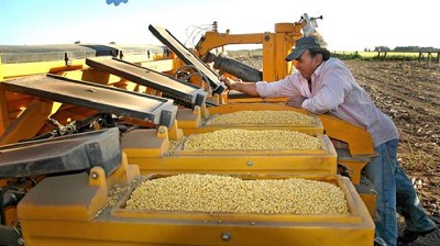 Campaña 2016/17: Habrá menos soja y maíz en el Mercosur por la Niña - GEA - BCR