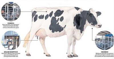 Tambo robótico: la tecnología de precisión que desafía a la lechería
