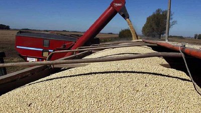 La industria semillera aun no conoce la ley que irá al Congreso