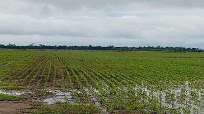 Otoño invierno 2016, entre los más fríos en 55 años