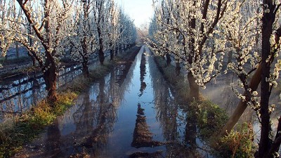 Alerta para el sector productivo: las temperaturas mínimas registrarán valores negativos