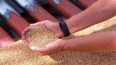 Semillas: el Gobierno busca una tregua con la industria