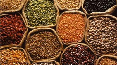 Semillas: el Congreso sigue esperando el envío de la iniciativa