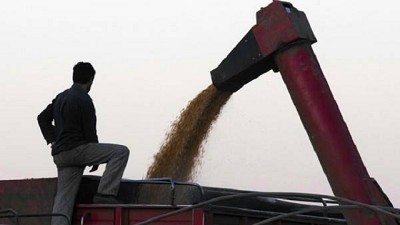 Aseguran que el 2017 será un año bisagra para la agroindustria