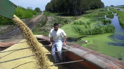 Los cereales repuntaron con fuerza en la Bolsa de Chicago