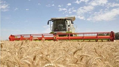 Industria o campo, categorías de una formade pensar la economía cada vez más obsoleta, por Hernán de Goñi