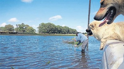 Se atrasa la siembra de soja por la seguidilla de lluvias