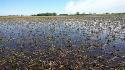 Cientos de hectáreas bajo el agua en la zona de General Villegas