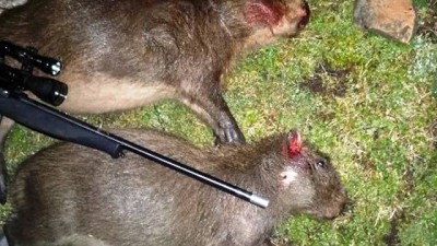 Cazar ilegalmente en la Pcia de Buenos Aires se sanciona con multas de entre 30 mil y 1 millón 200 mil pesos