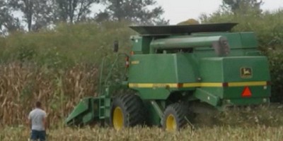 Combinar sitios de acción para un control de malezas sustentable