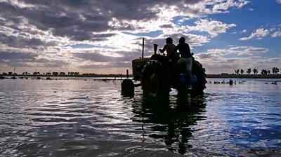 Inundados y con temor a más lluvias, para los productores de General Villegas el año está perdido