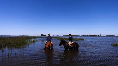 Por la inundación, cayó 15% la producción en los tambos de General Villegas