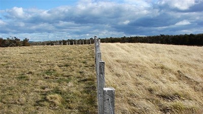 Pastizales: evitan el calentamiento