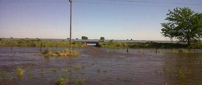 Recomendaciones Senasa para prevenir enfermedades en zonas inundadas
