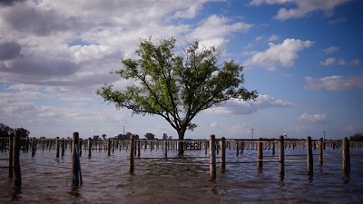 Hay 600.000 hectáreas productivas afectadas
