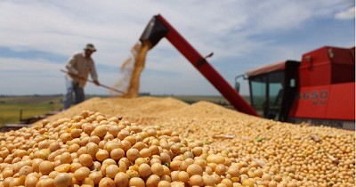 El agro estadounidense logró exportaciones de granos récord 
