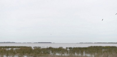 Se declaró la emergencia agropecuaria en distritos y departamentos de Buenos Aires, Tucumán y Córdoba