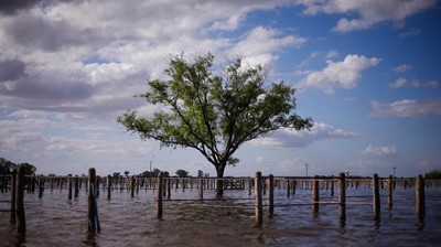 Inundaciones sin fin: un fenómeno que se repite y afecta la campaña agrícola