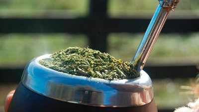 Un estudio científico evidencia los beneficios  de yerba mate fortificada con magnesio