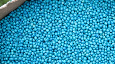 Syngenta y Agroservicios Pampeanos impulsan la expansión del tratamiento profesional de semillas de soja 