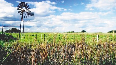 Trabas para ingresar al blanqueo postergan inversiones en campos