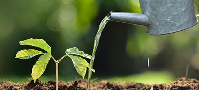 Ya están seleccionados los nominados para el Premio a la Excelencia Agropecuaria 2016