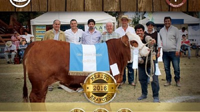 Cabaña Pilagá, tetracampeón del Braford