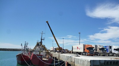 Mayores reintegros a la exportación de lana, peras, manzanas y camarones