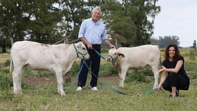 Cambio de paradigmas para un sector conservador