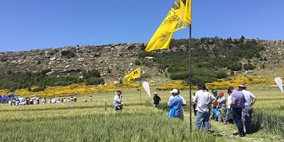 Reconocen el trabajo de extensión de un ejecutivo de Nidera