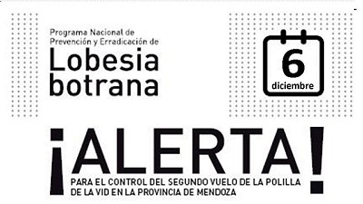 Valle de Uco: Segundo alerta para el control de la polilla de la vid