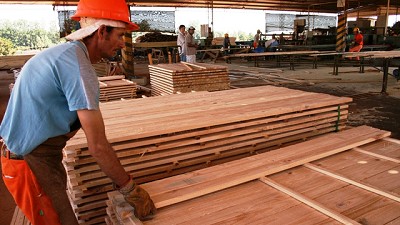 El sector maderero en crisis por caída de ventas, aumento de costos y retroceso de la actividad