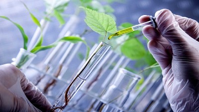 Calculan que la biotecnología trajo al país beneficios por casi US$ 127.000 millones