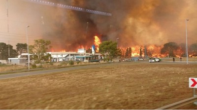 Fuerte incendio en los bosques de Cariló y Valeria del Mar