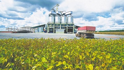 Los agricultores vuelven a ser el tractor de la economía argentina