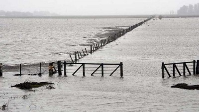 Declaran emergencia agropecuaria en distintas zonas de la Provincia de Bs.As y La Pampa