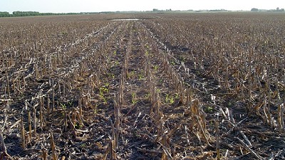 Radio: El sudeste bonaerense complicado... 