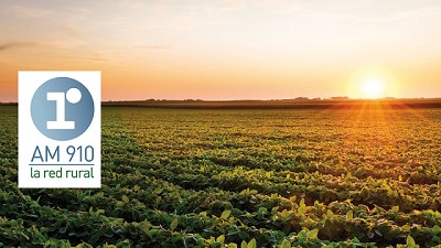 Radio: Las buenas expectativas agropecuarias de la semana