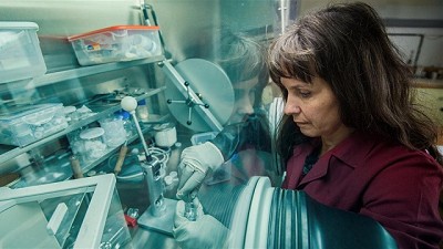 Fuente de energía limpia creada por una argentina