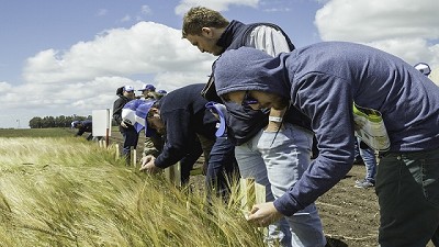 Cervecería y Malteria Quilmes la primera economía regional
