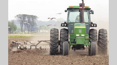 Por falta de lluvias, peligra buena parte de la siembra de soja