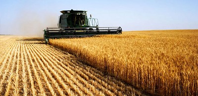 Argentina desplaza a Rusia y EE.UU. con trigo más barato del mundo