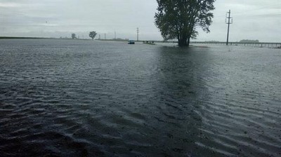 Diluvió en el sur de Santa Fe y el norte bonaerense y miles de hectáreas quedaron anegadas