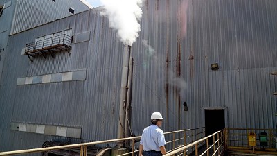 Aumenta la producción de aceites de soja y girasol