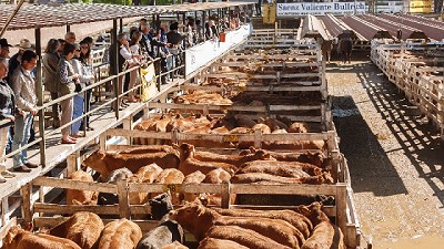 Mercado de Liniers: final de año con demanda moderada y precios bajos