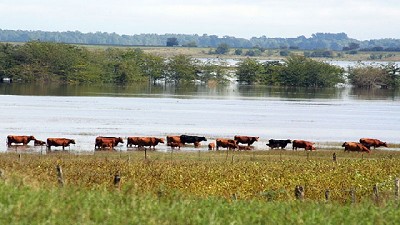 Sin tregua para hacer un balance