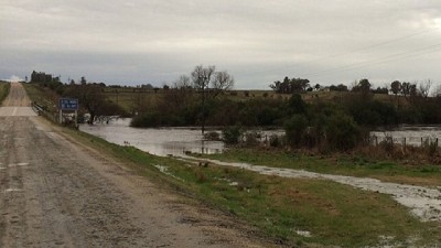 Volvió a llover en la zona agrícola núcleo y el agua afecta cultivos